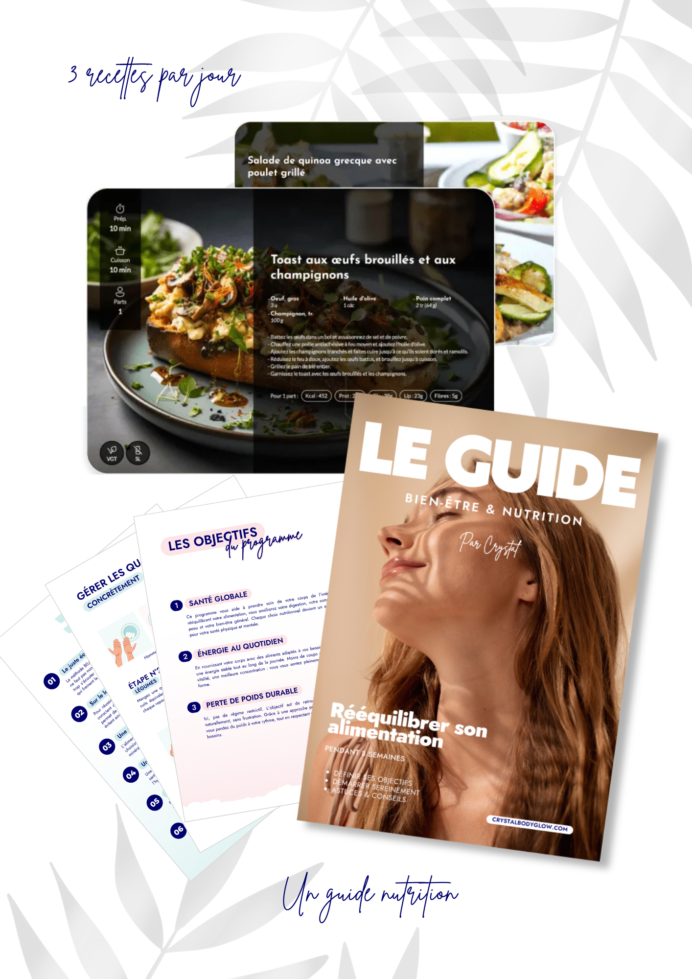 Programme nutrition personnalisé